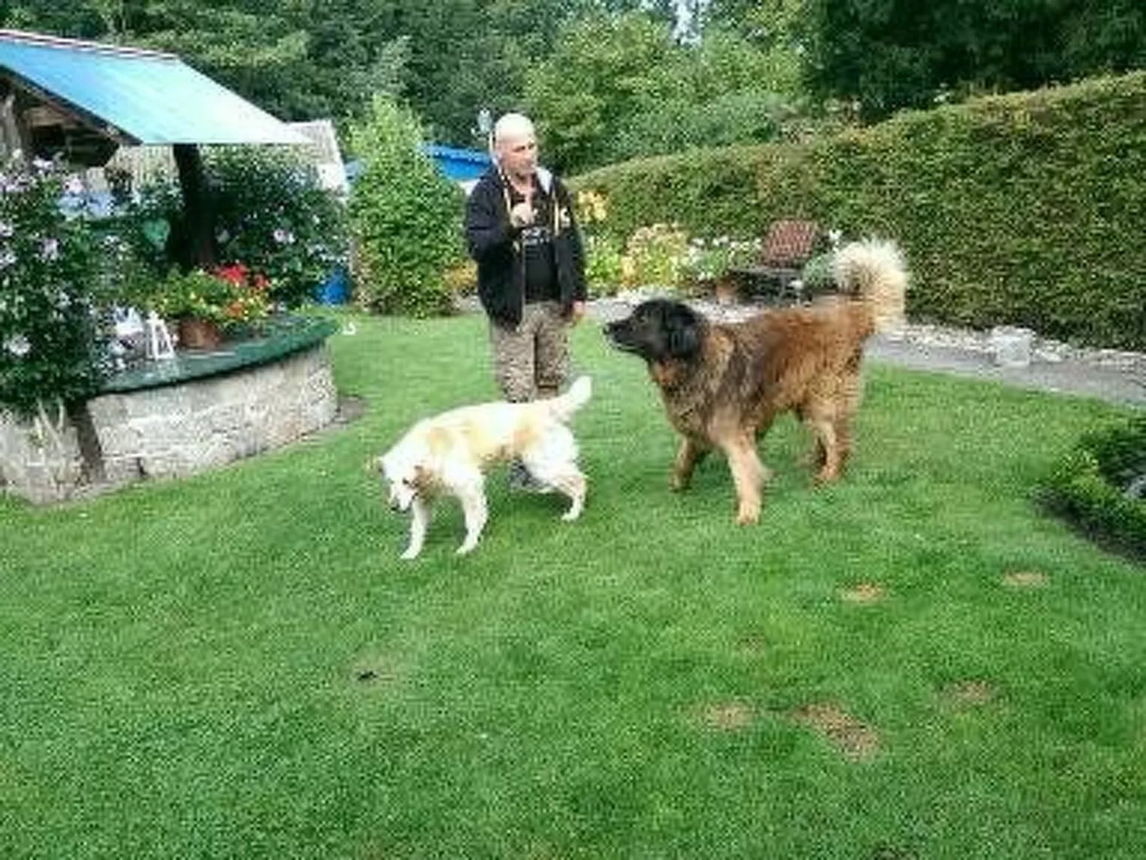 Ferienbungalow auf Gartengrundstück - Outside