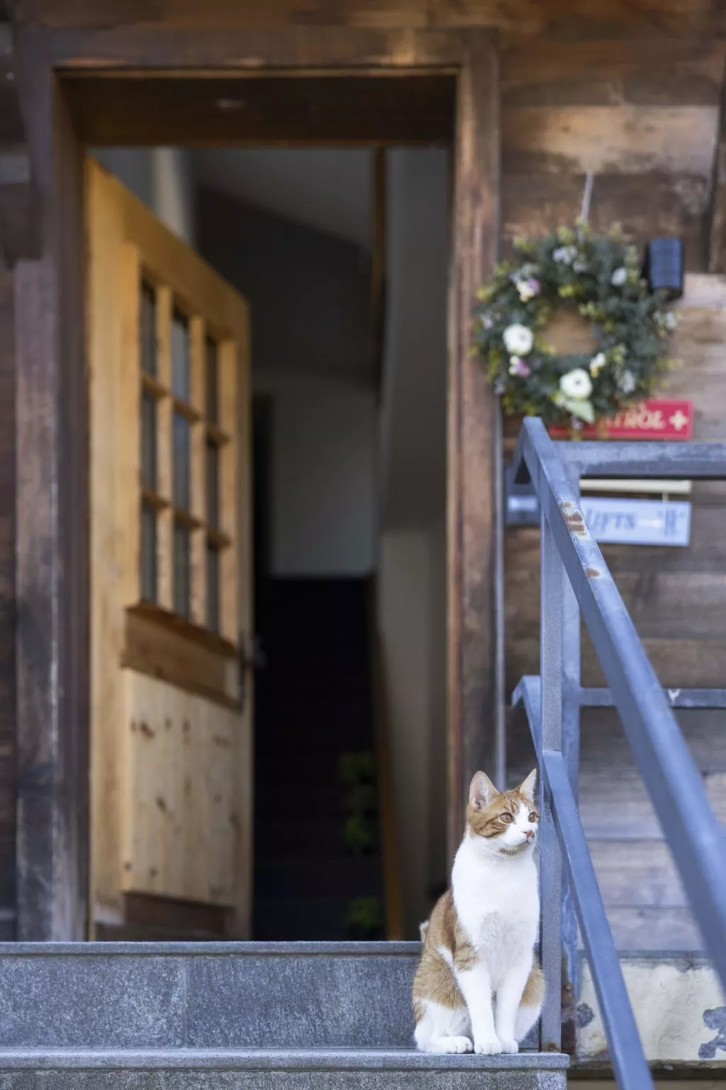 Baren Penthouse - Drinnen