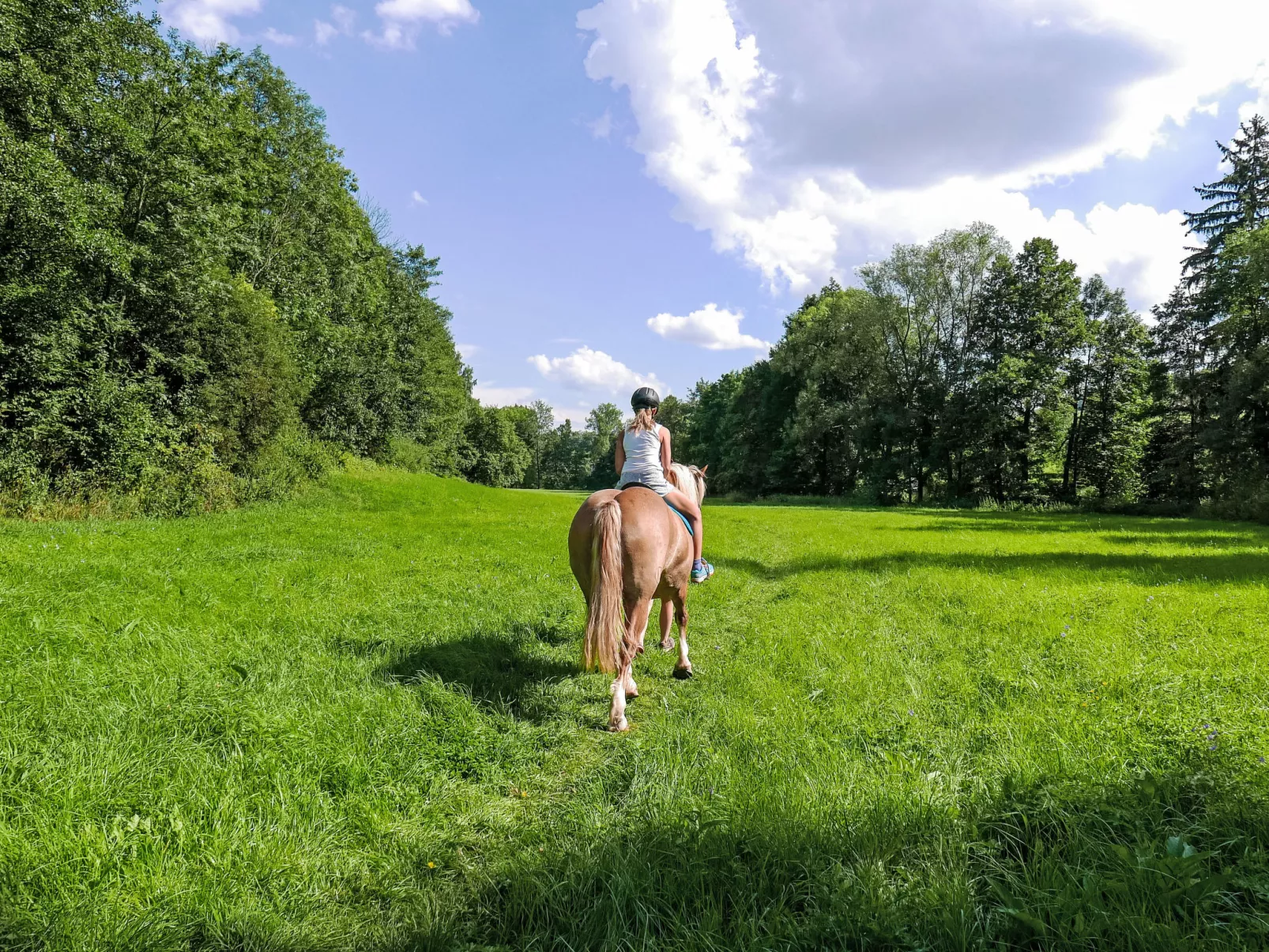 Green Valley Park Stárkov 15 - Draußen