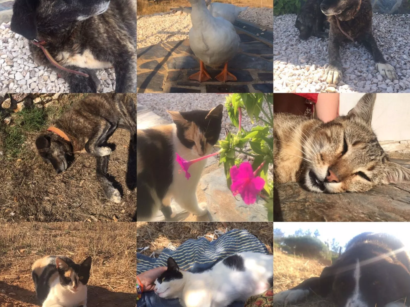 Romantisch und einzigartig "Das Bambus-Apartment" - Outside