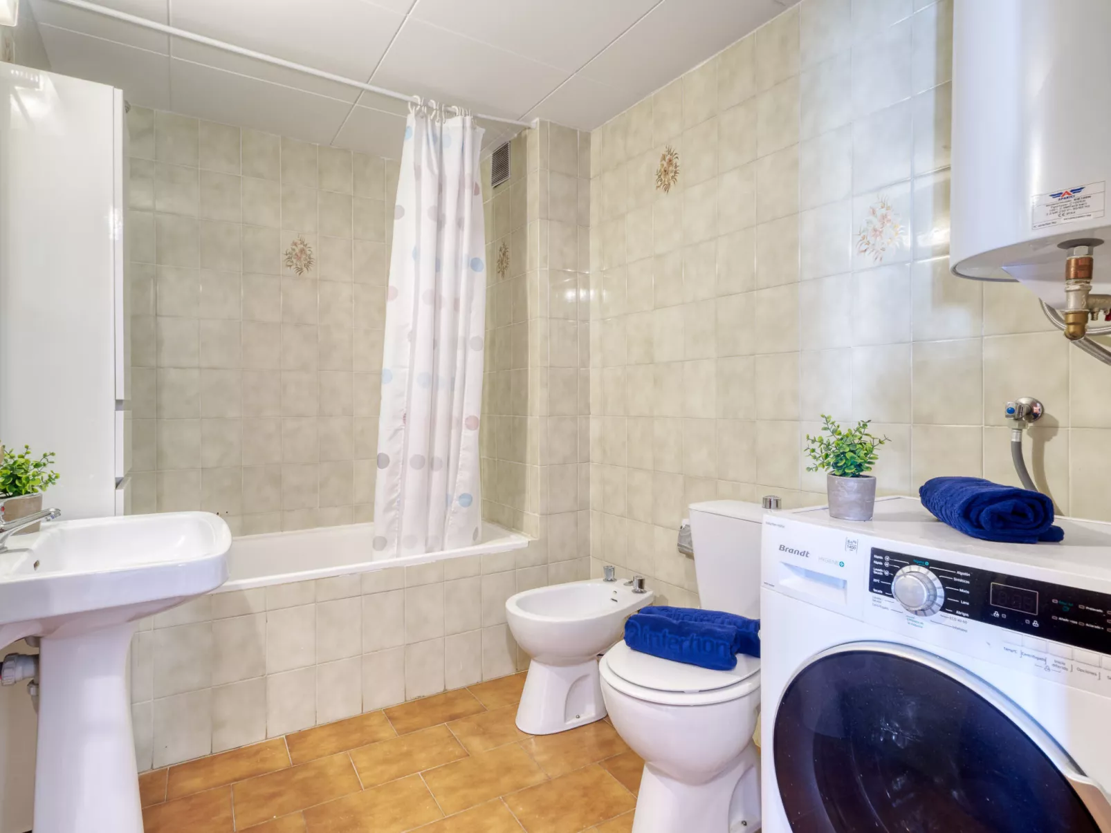 Centro peatonal Roses - Dedans