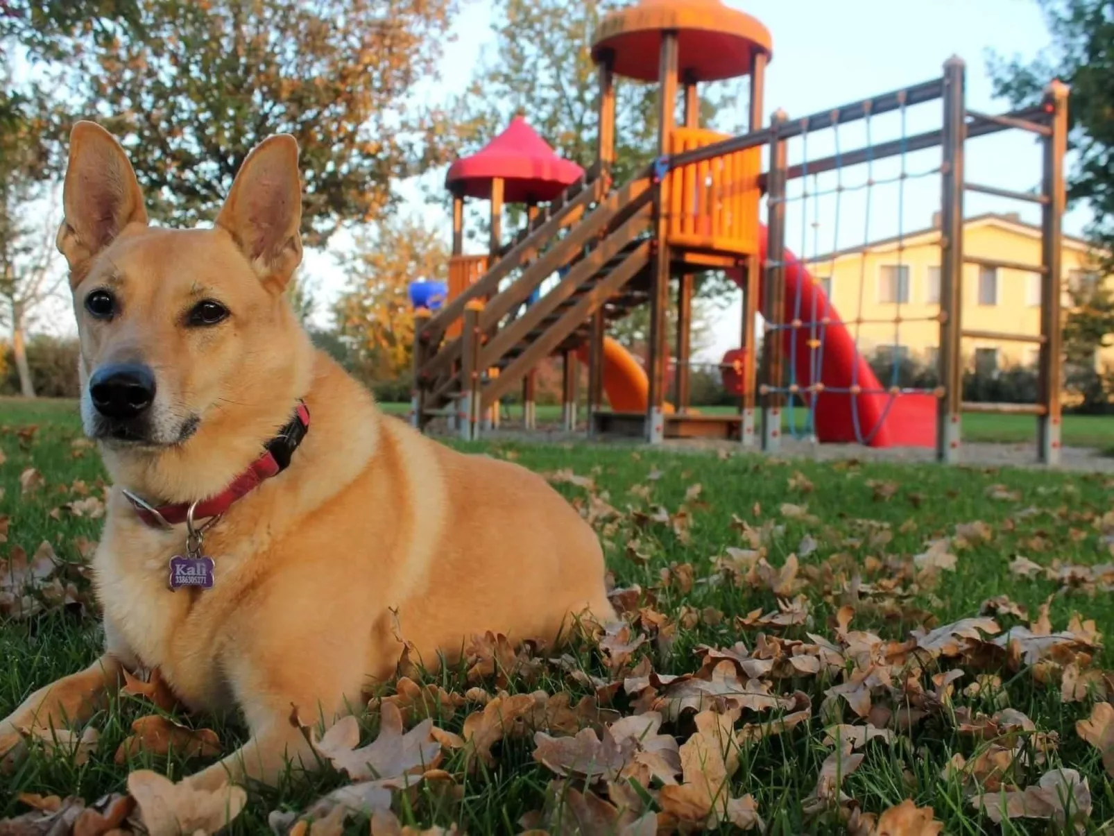 Wohnung "Veronica" auf einem Bauernhof - Draußen