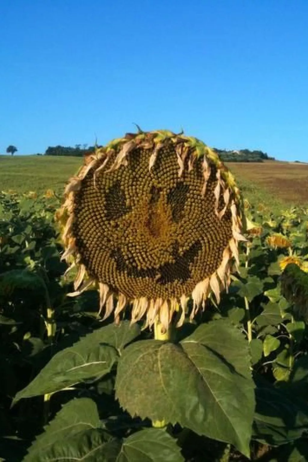 Casa Fuoco - Image-tags.info