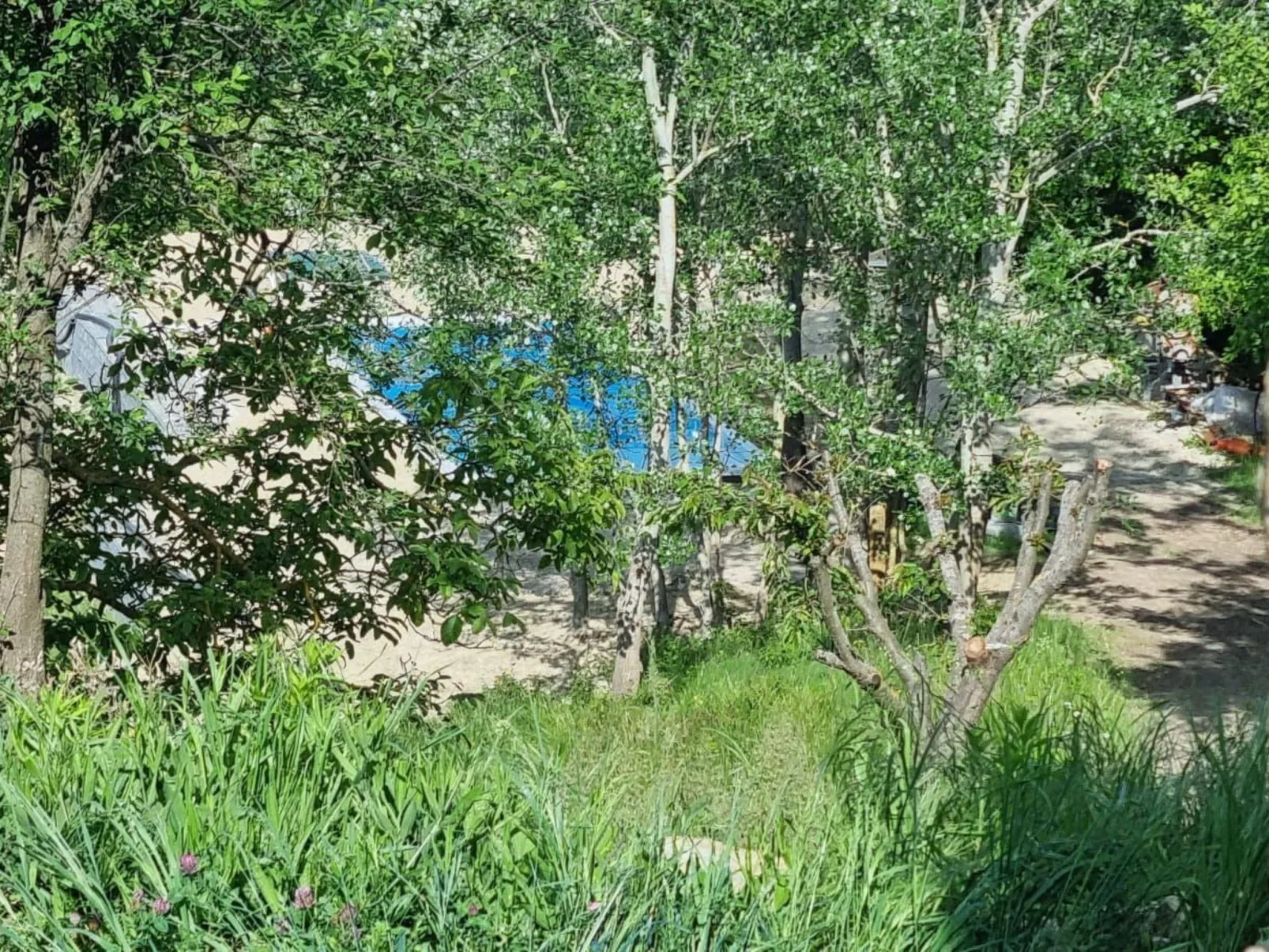 Rustikales und charmantes Doppelzimmer "Olmo Gentile" - Outside