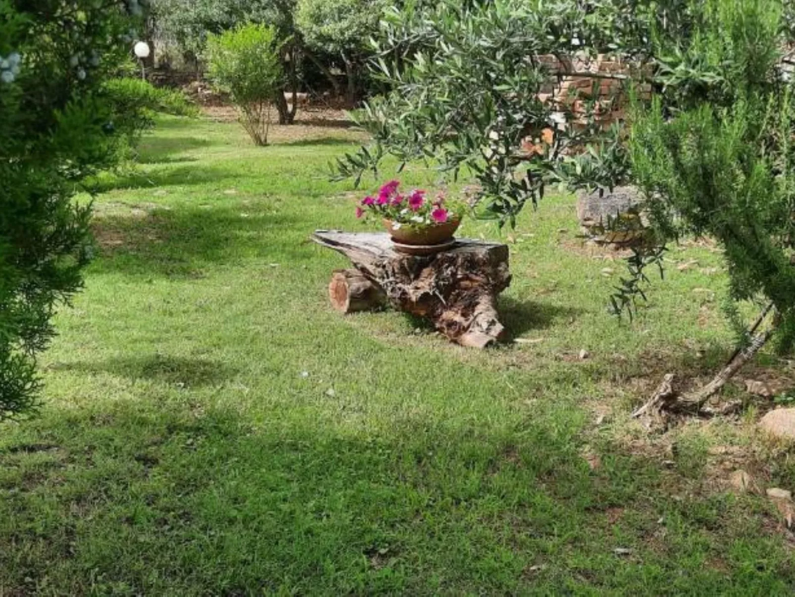 Malù House - Dehors