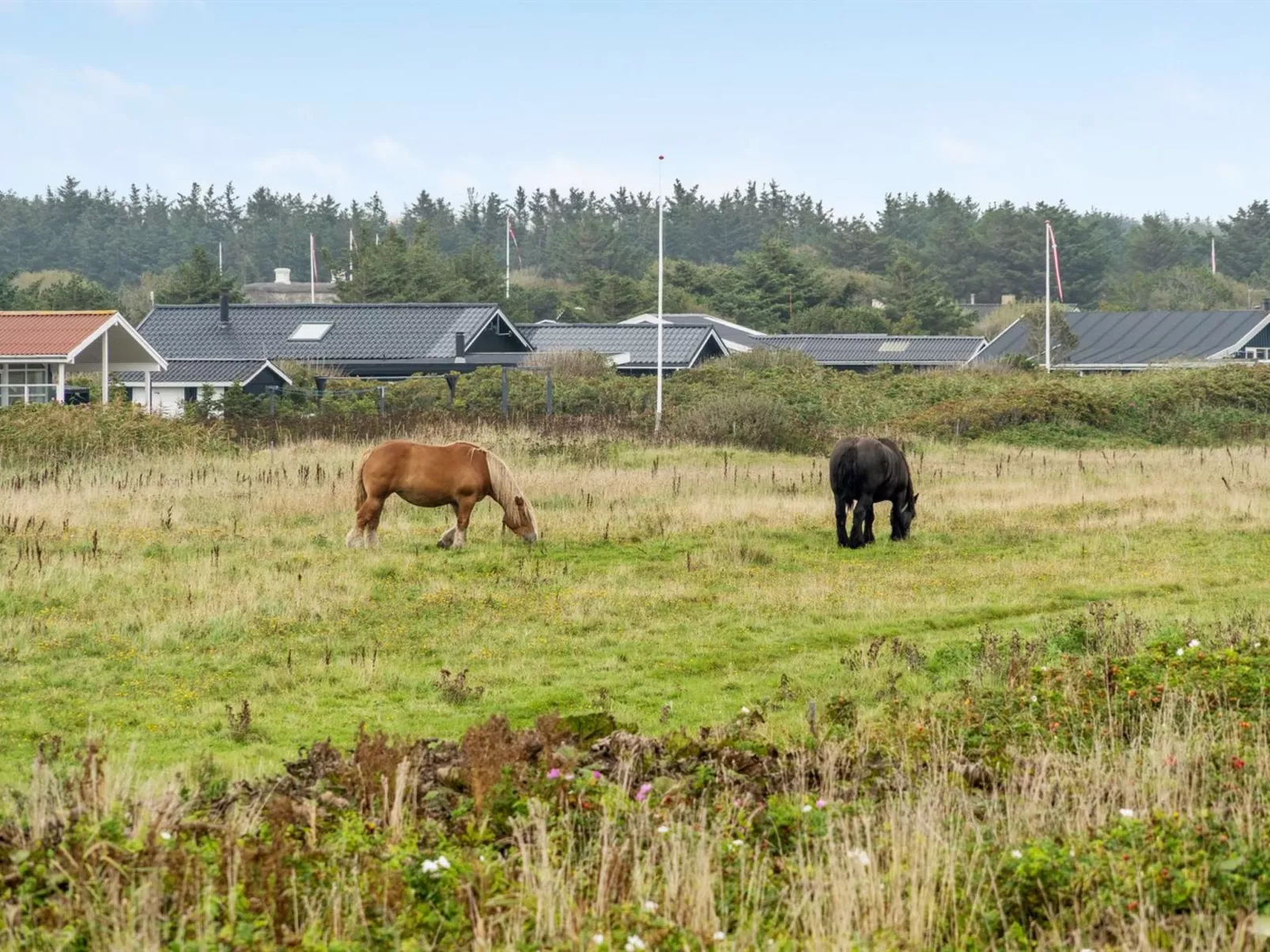"Helma" - 200m from the sea - Dehors