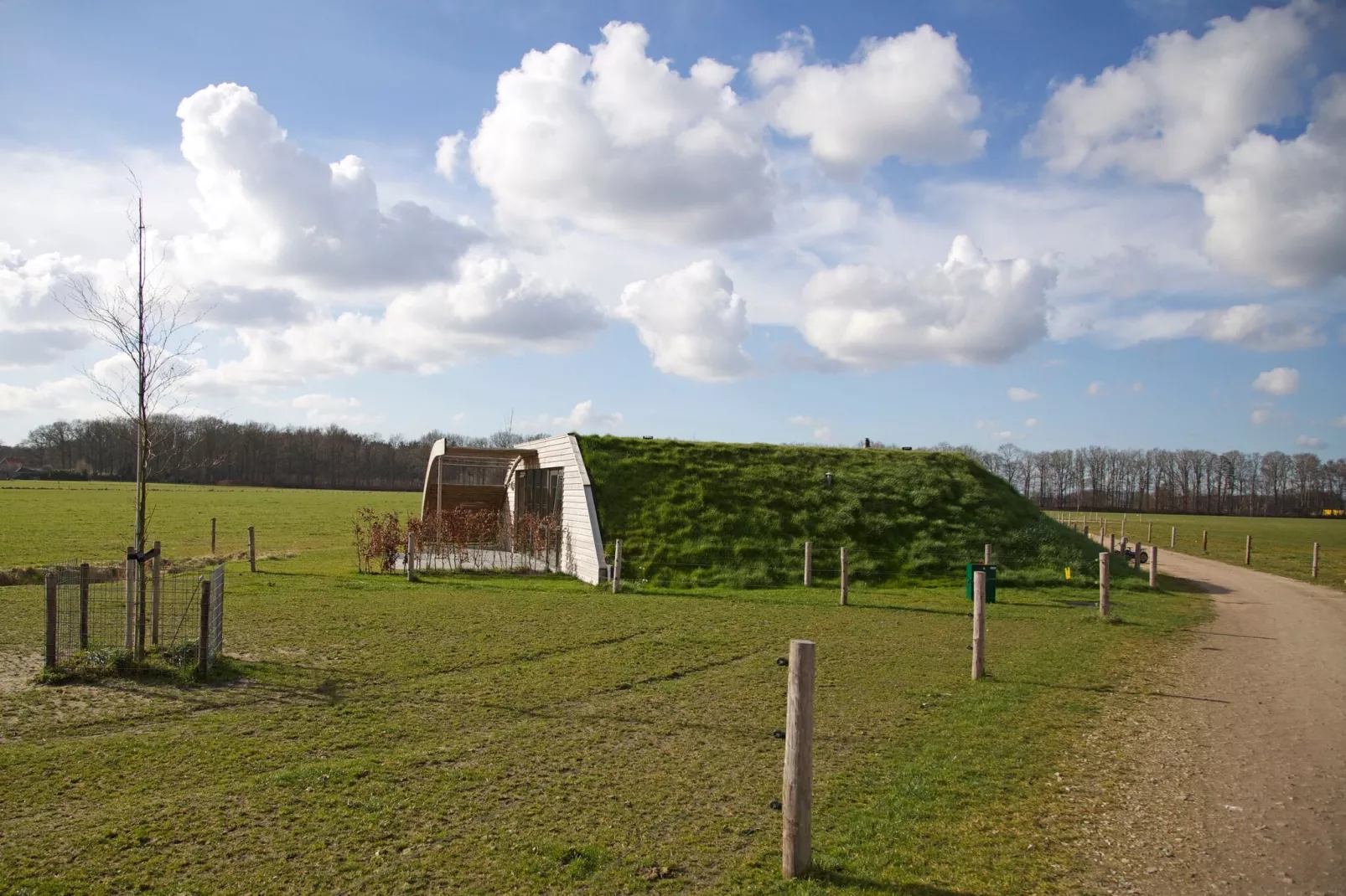 Koe in de Kost 4-Exterior summer