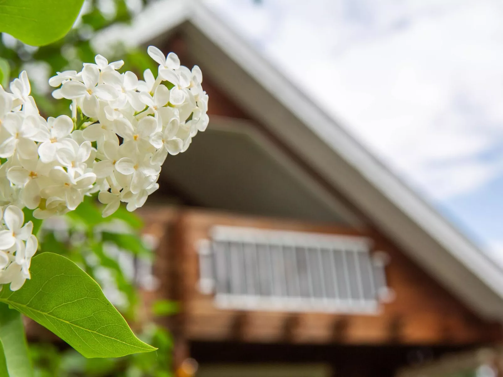 Ranta-lemettilä - Inside