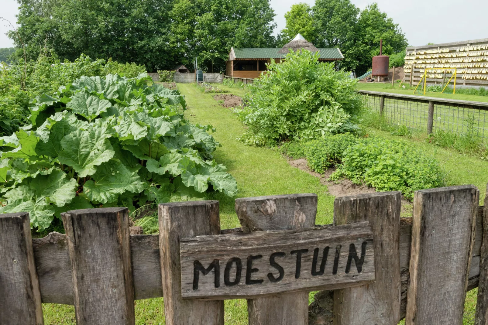 Koe in de Kost 4-Gardens summer