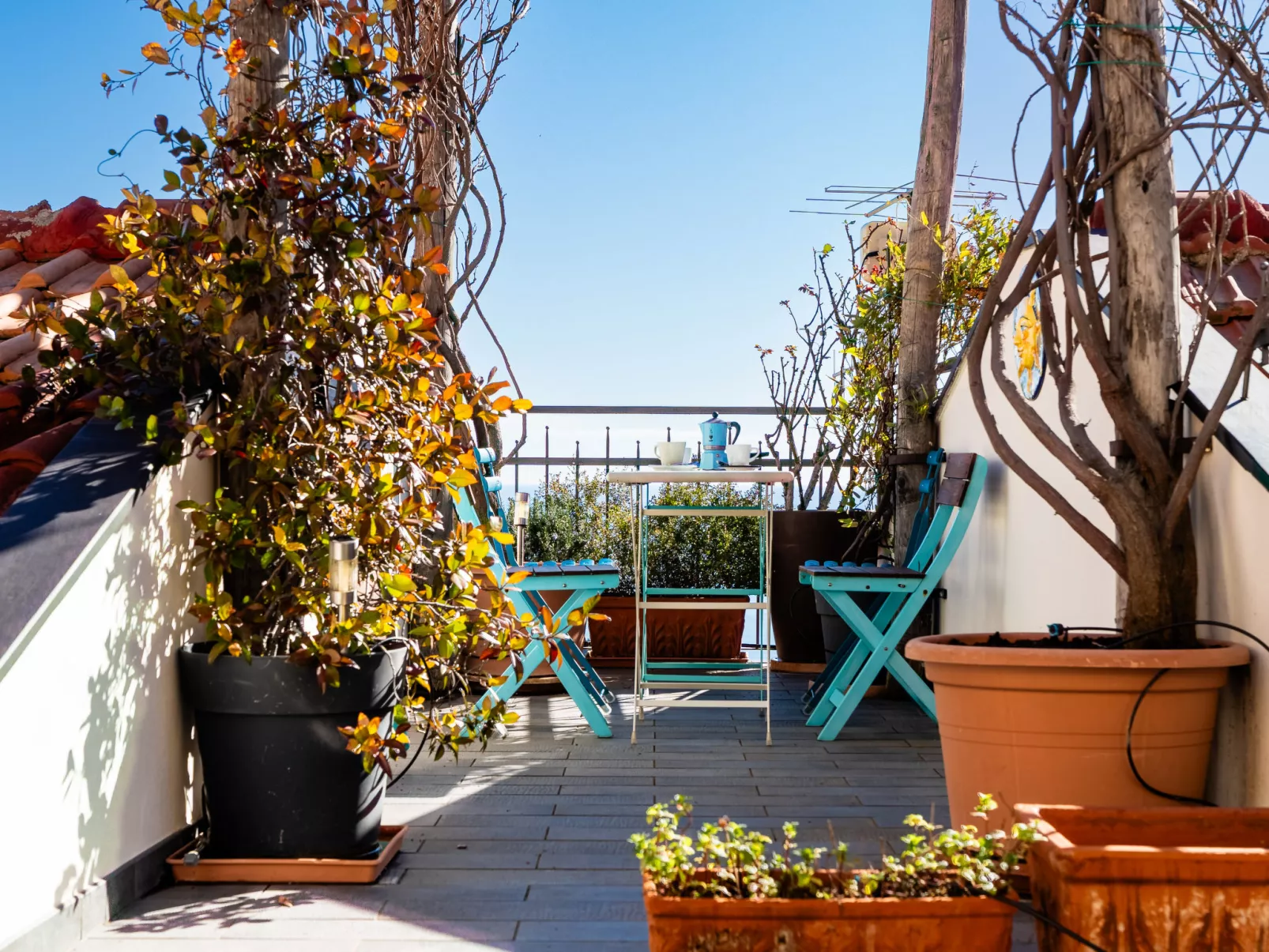 Terrazza con glicine - Dehors