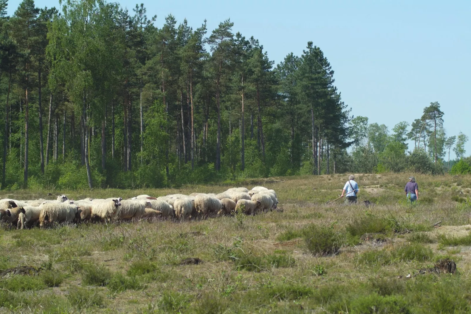 Bospark de Schaapskooi 10-Areas summer 20km