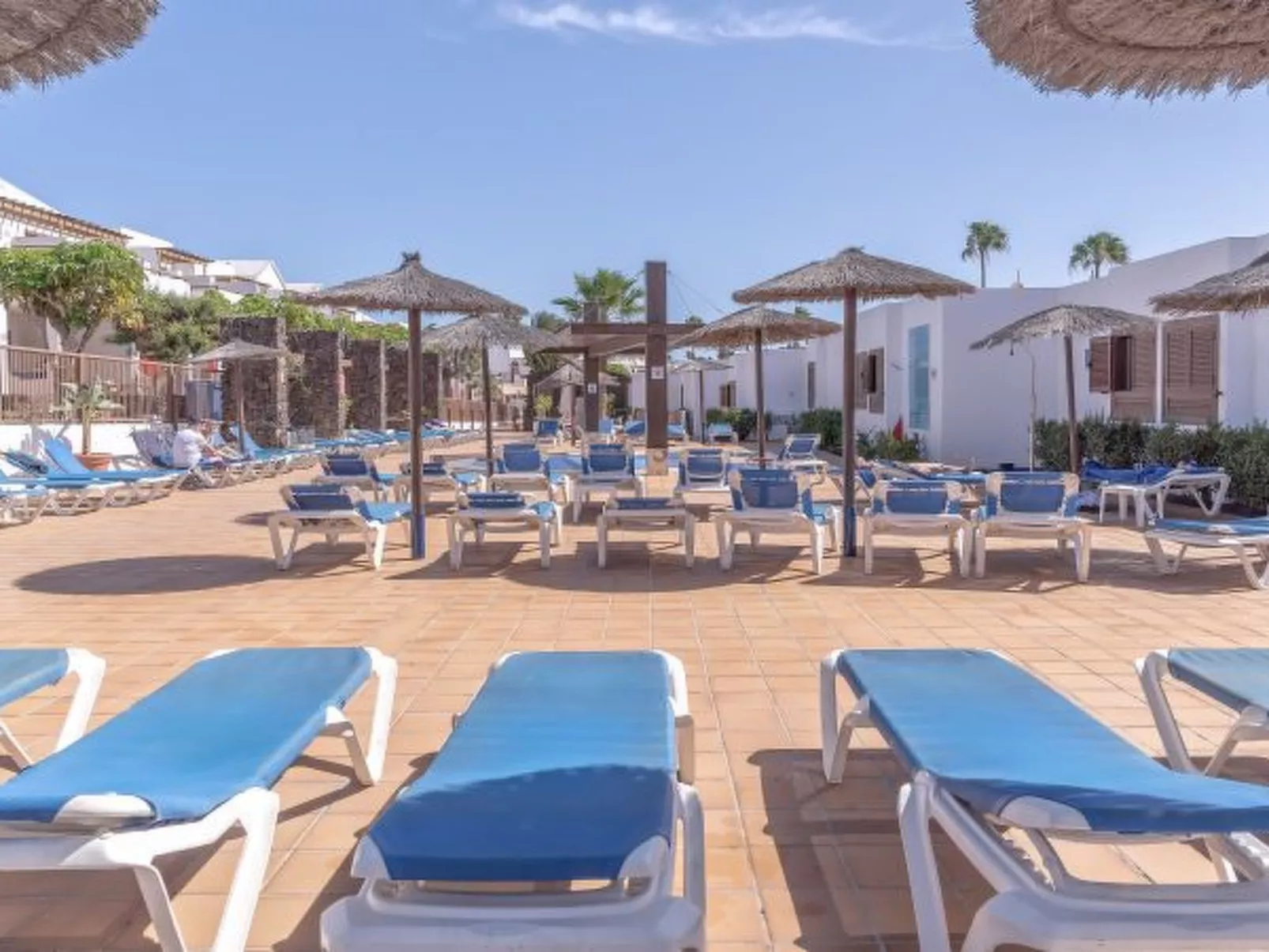 PLAYA FLAMINGO C - Image-tags.info