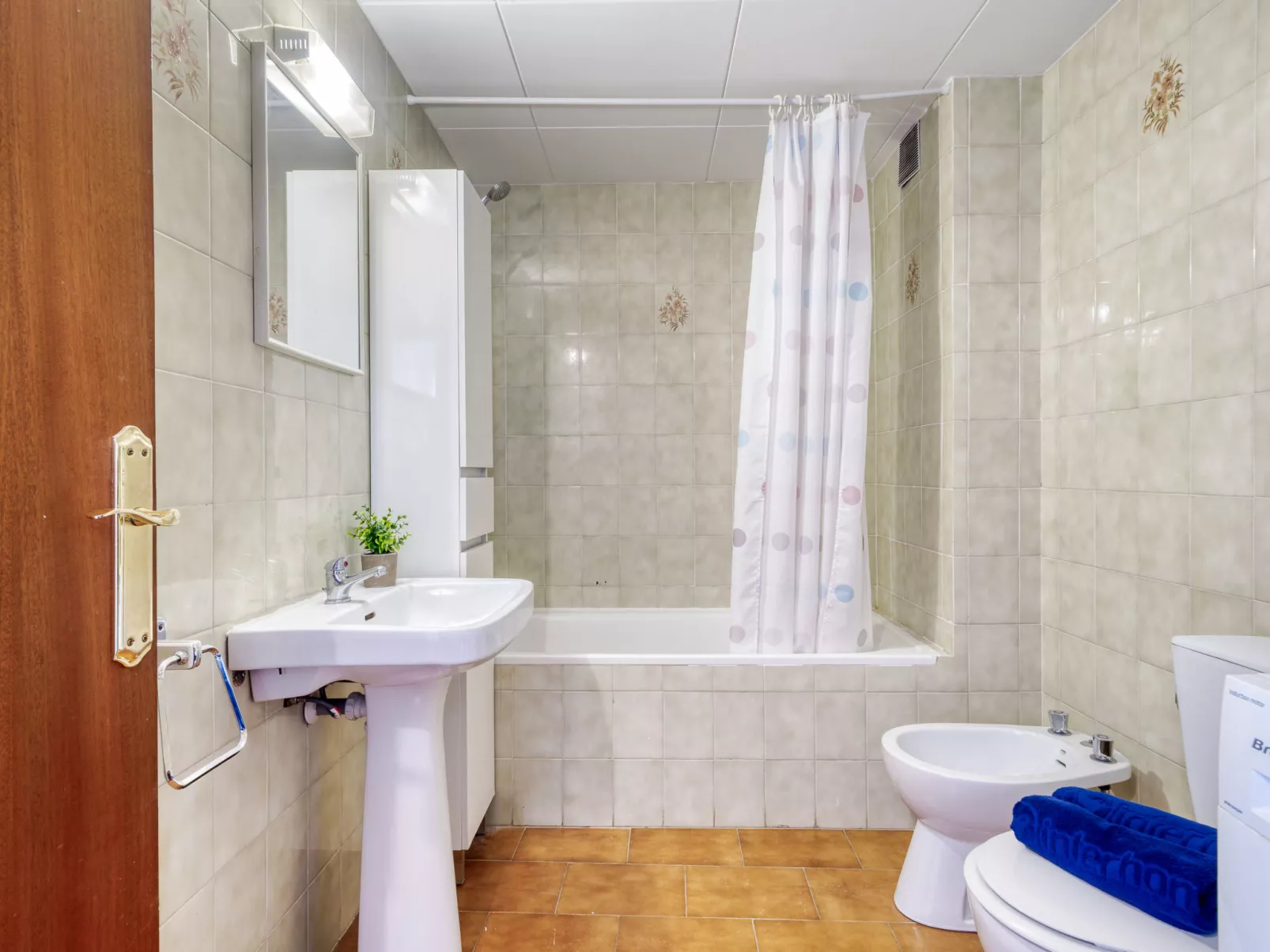 Centro peatonal Roses - Dedans