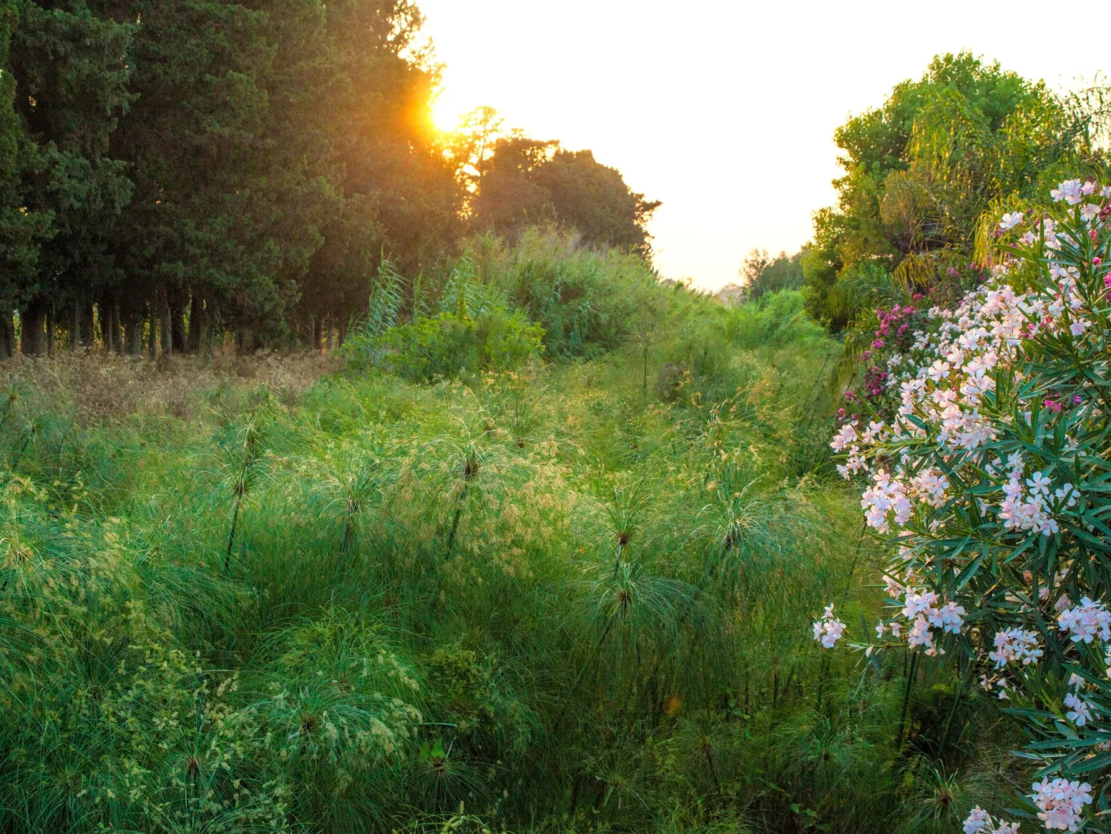 Villa dei Papiri - Exklusives Zimmer mit möbliertem Garten - Image-tags.info