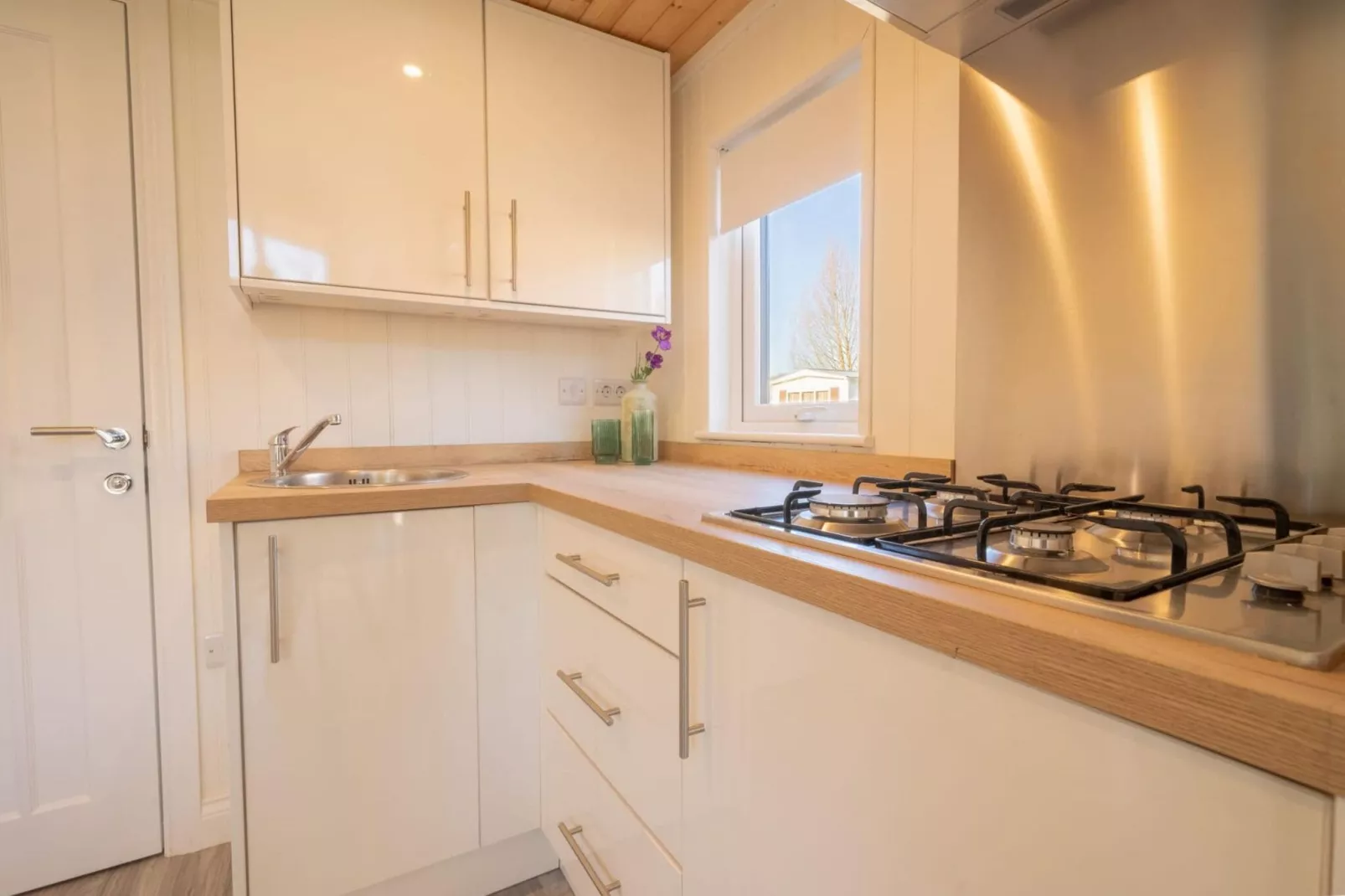 Resort Zuiderzee 10-Kitchen
