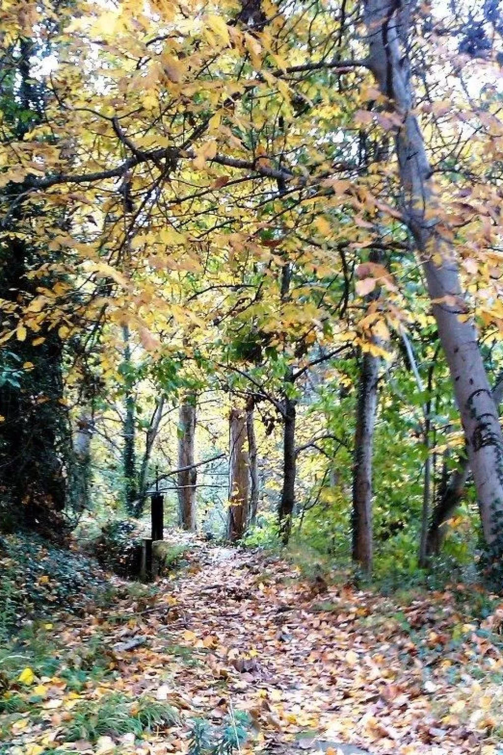 Ländliches Haus Ruralmedulas, 10 Personen - Outside