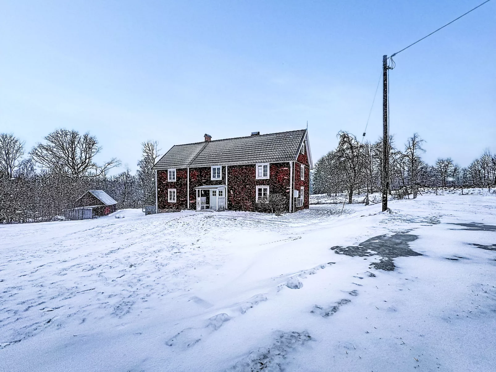 Piggsmåla - Draußen