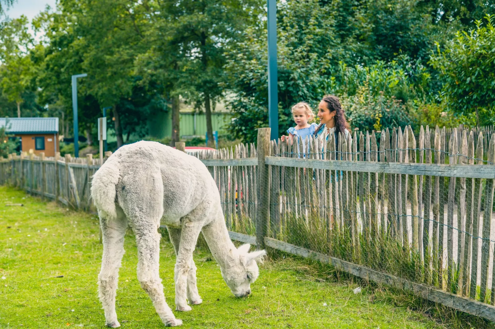 Resort Zuiderzee 18-Park facilities