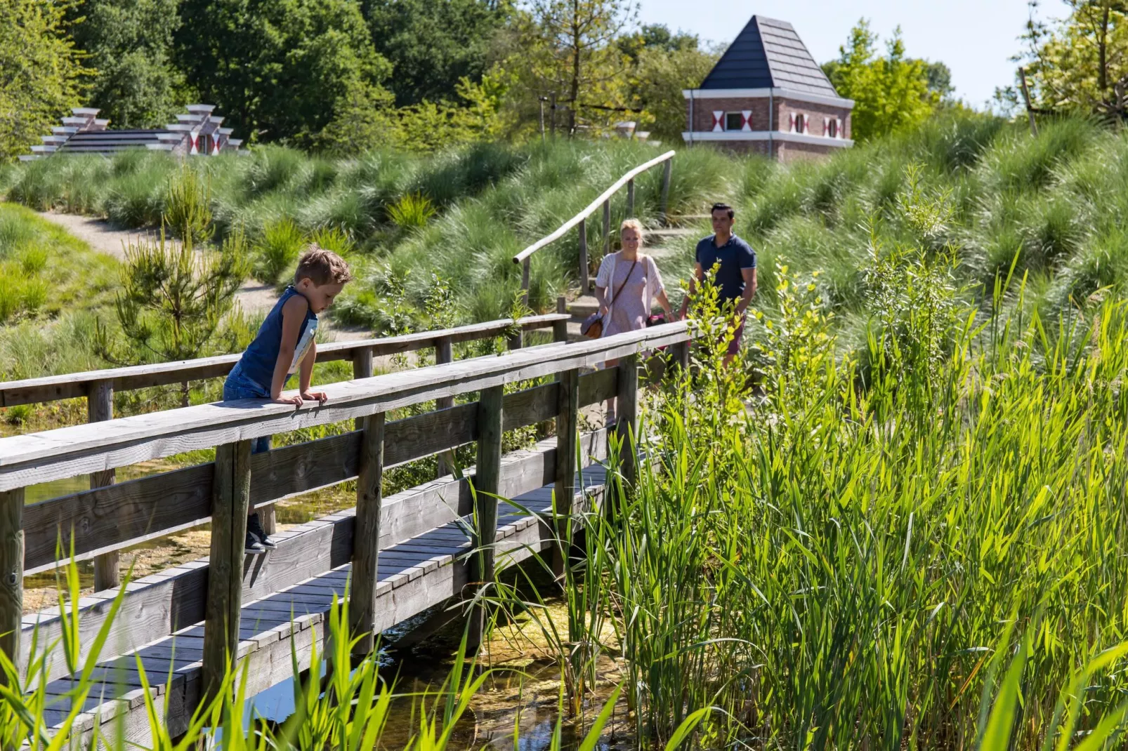Resort Zuiderzee 18-Areas summer 1km