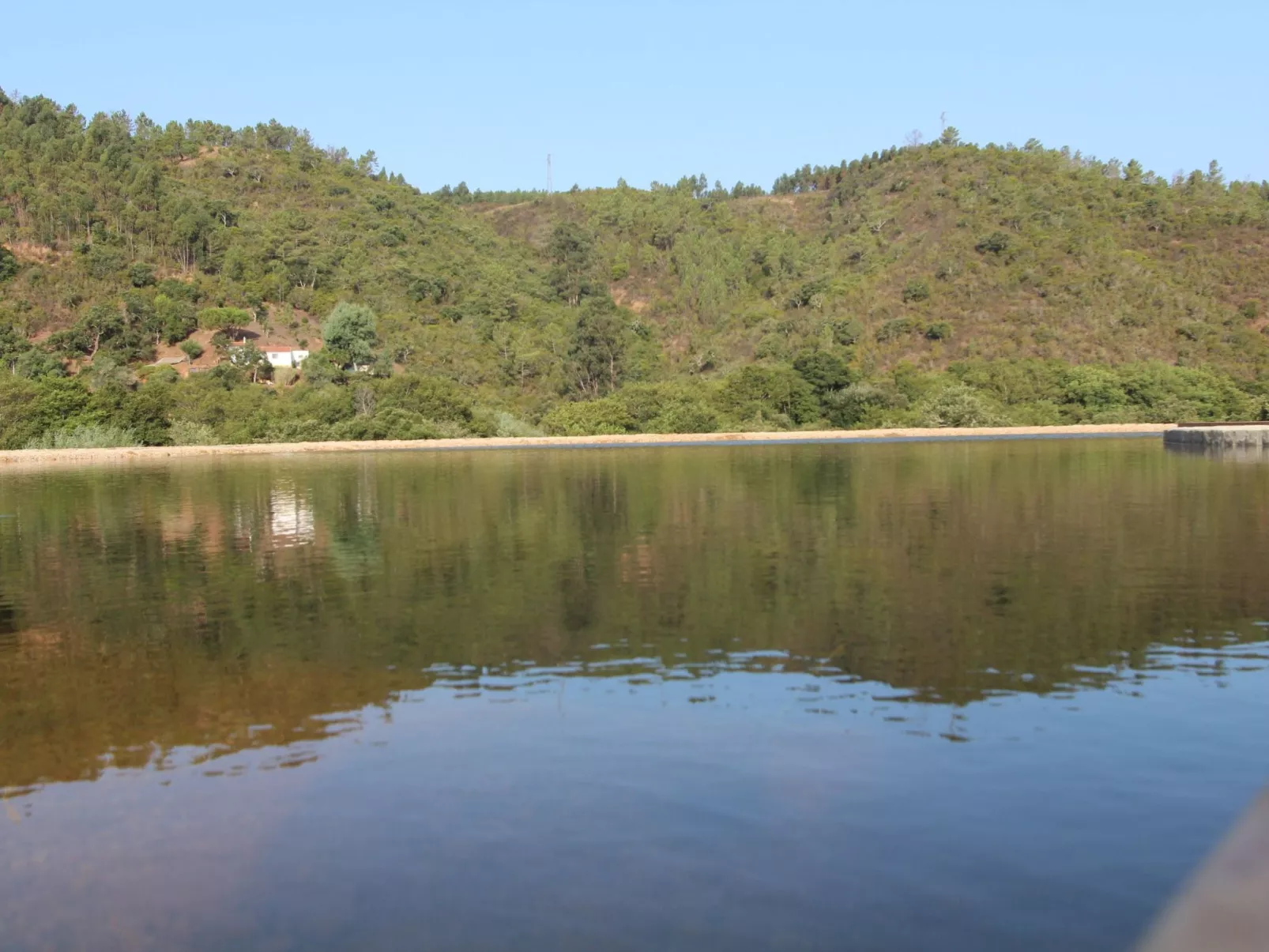 "The Natural Elements" - Image-tags.info