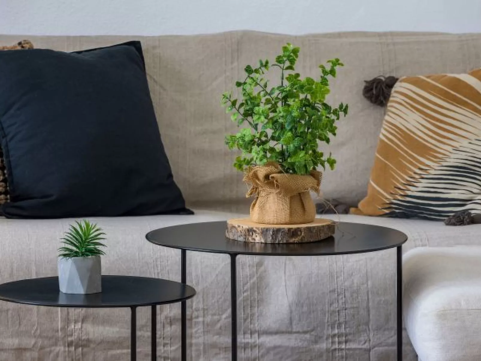 La Casa Escaniana - Image-tags.info