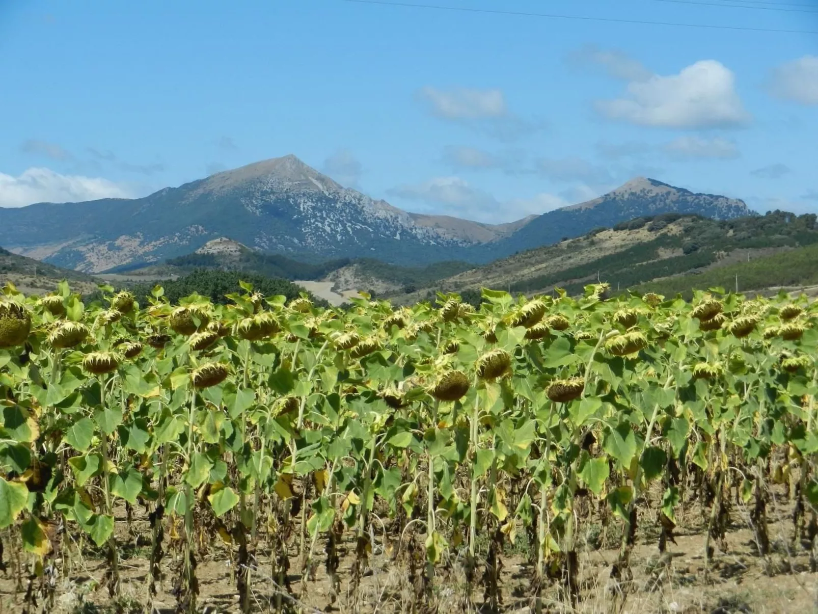 Gästezimmer "Casa de la Cadena". - Image-tags.info