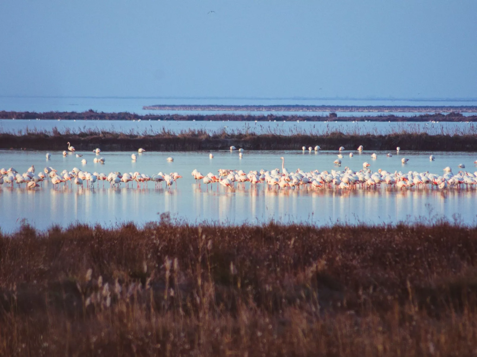 Attraktives Studio in Strandnähe, Klima - Draußen