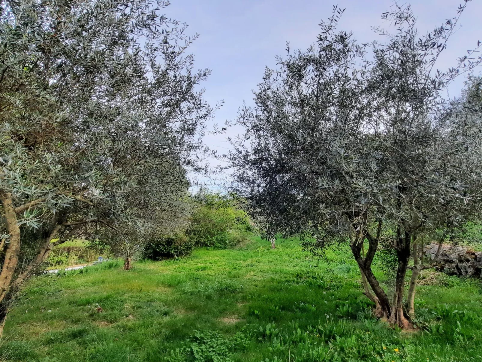 "Gîte La Calade" mit Pool - Draußen