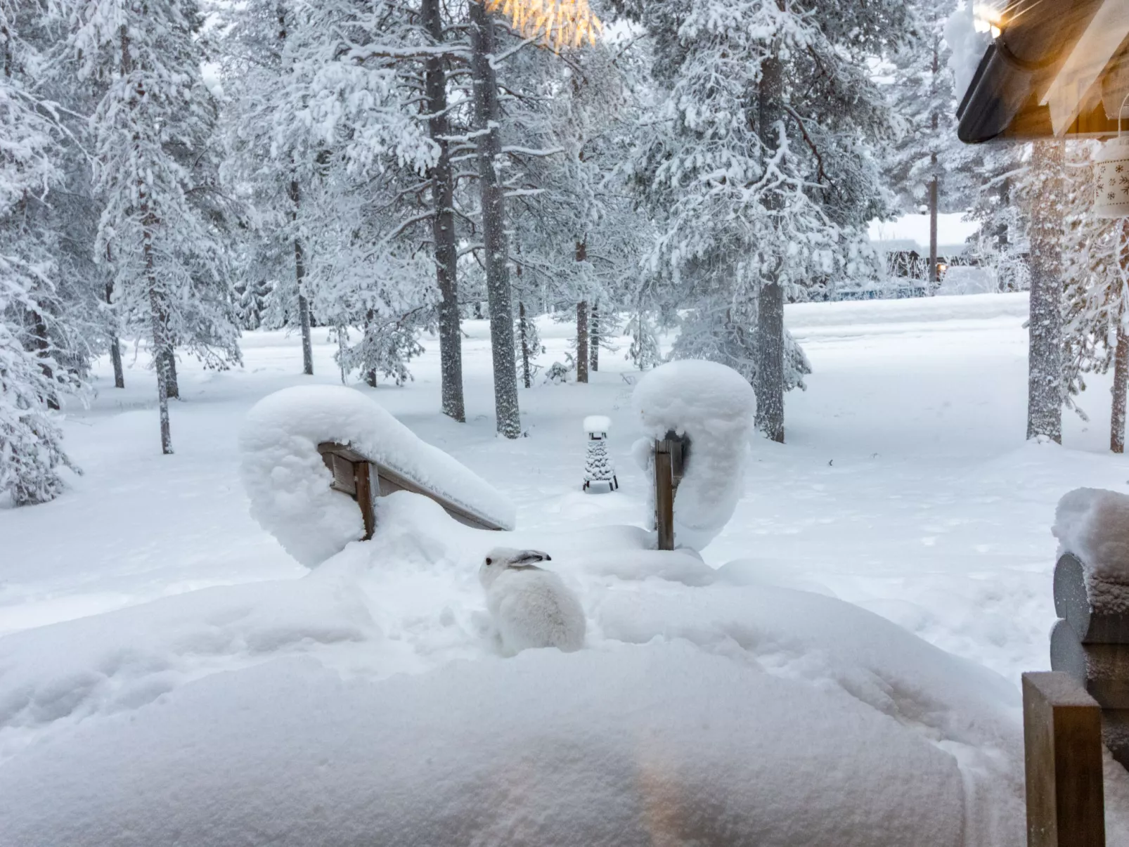 Levin neljä tuulta - Drinnen