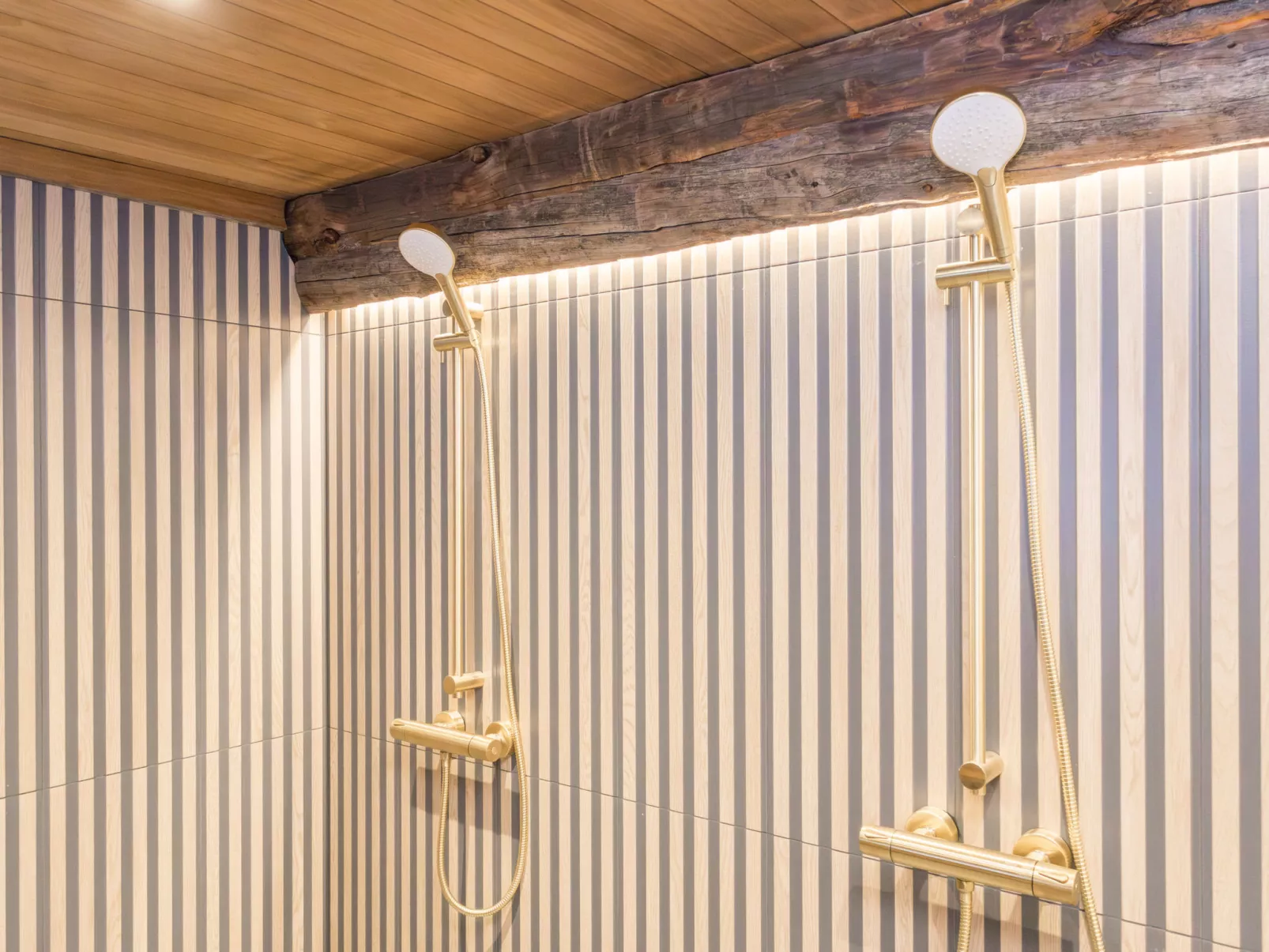 Lumikenttien kutsu - Dedans