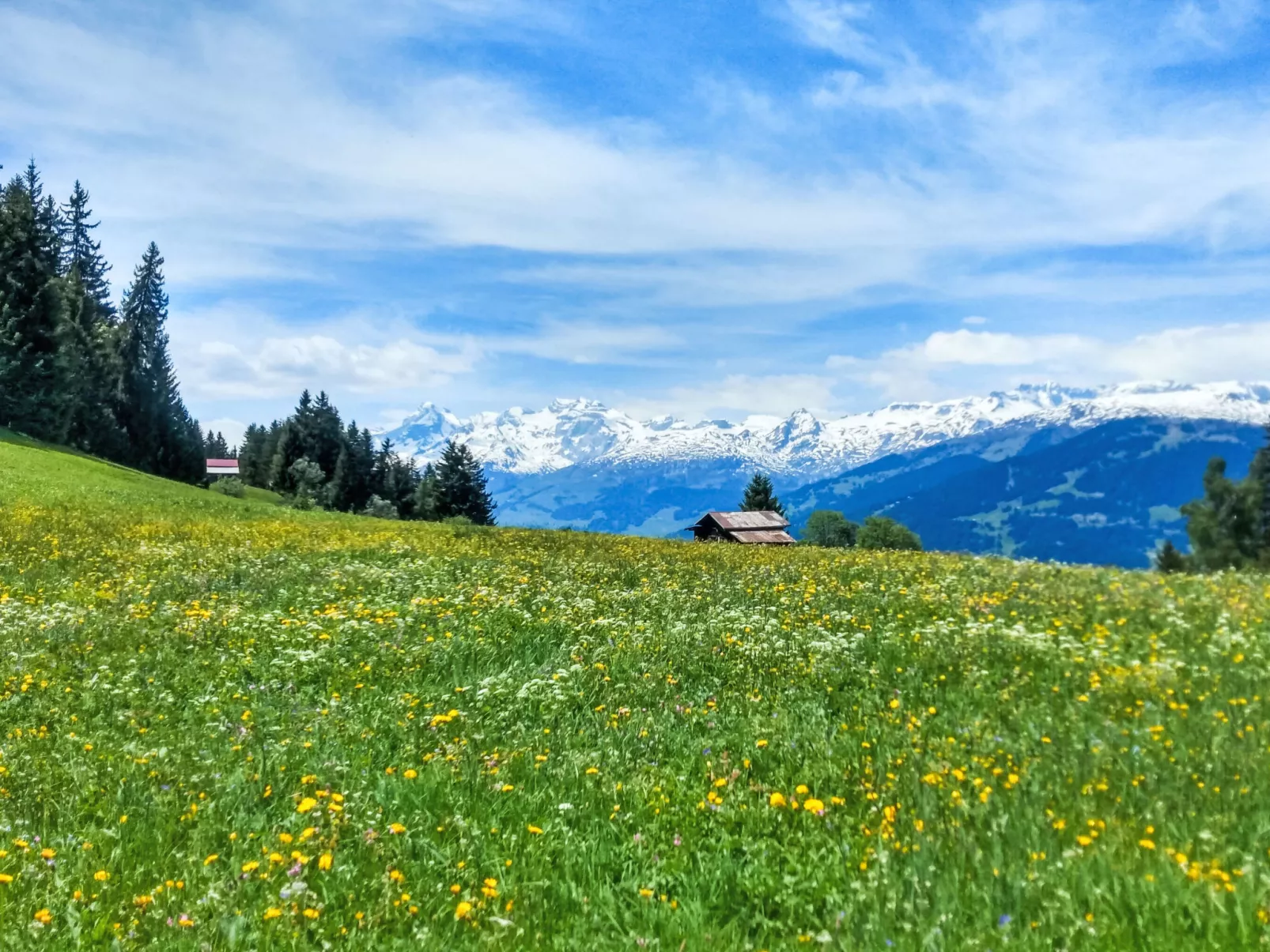 Chalet mit Bergsicht - Dehors