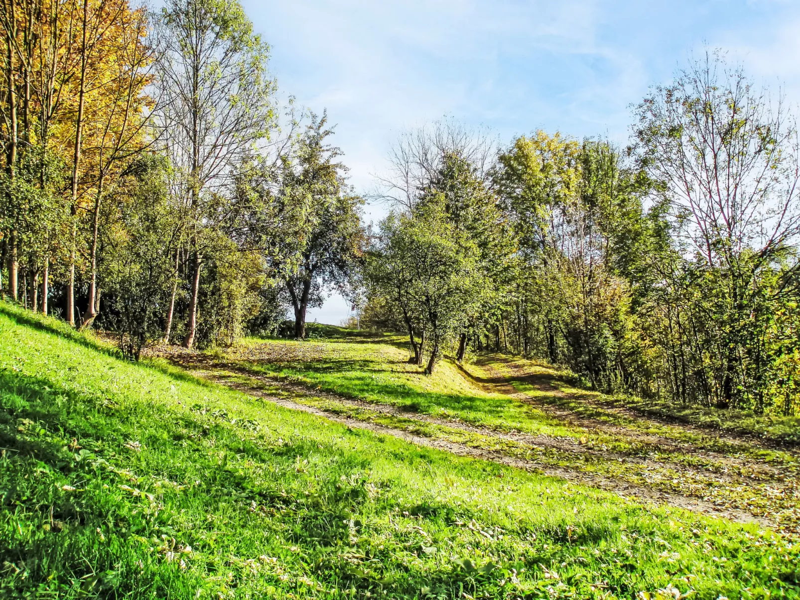 Green Valley Park Stárkov 9 - Draußen