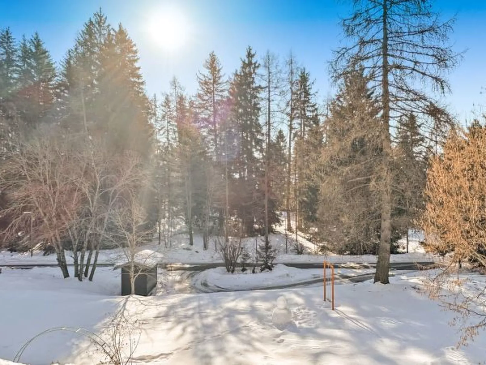 Chalet Les Girolles - Anzère - Dehors