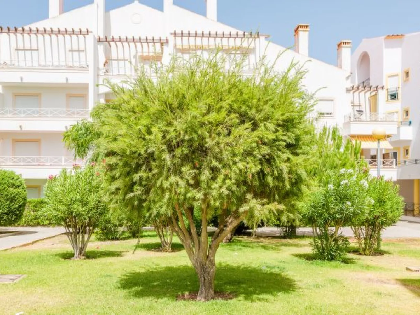 Alfamar Apartment at Praia da Falesia - Outside