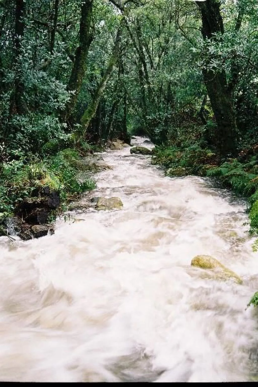 NATUR IN IHRER REINSTEN FORM - Image-tags.info
