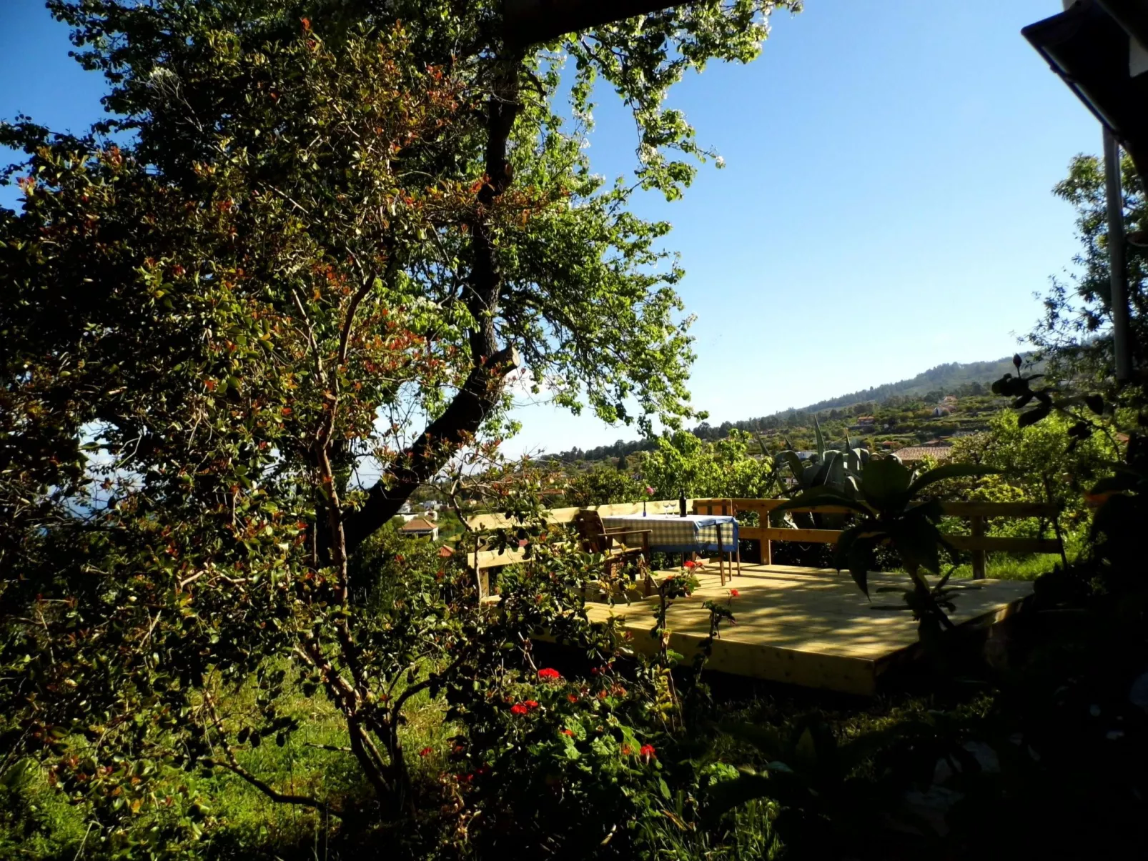 Casamarena - Image-tags.info