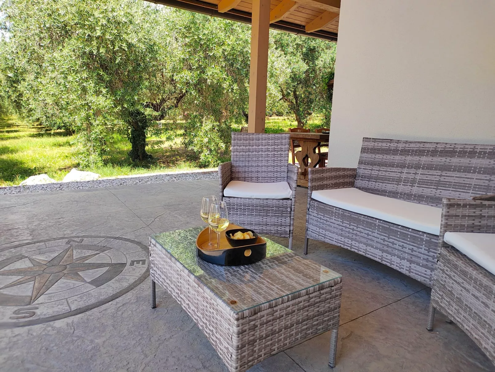 In einem spektakulären Olivenhain in einer ruhig - Image-tags.info