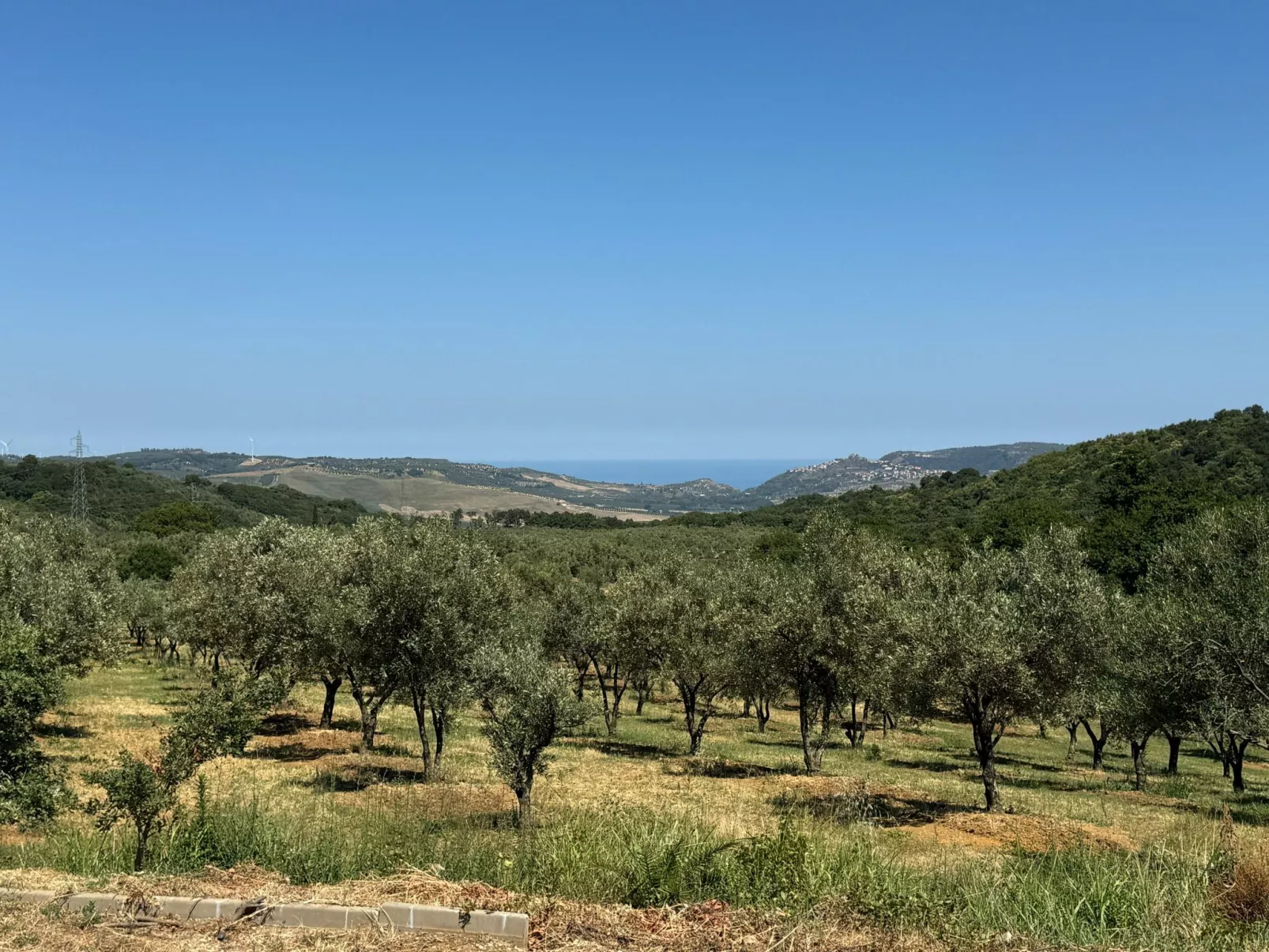 Tolles Reihenhaus im Olivenhain - Draußen