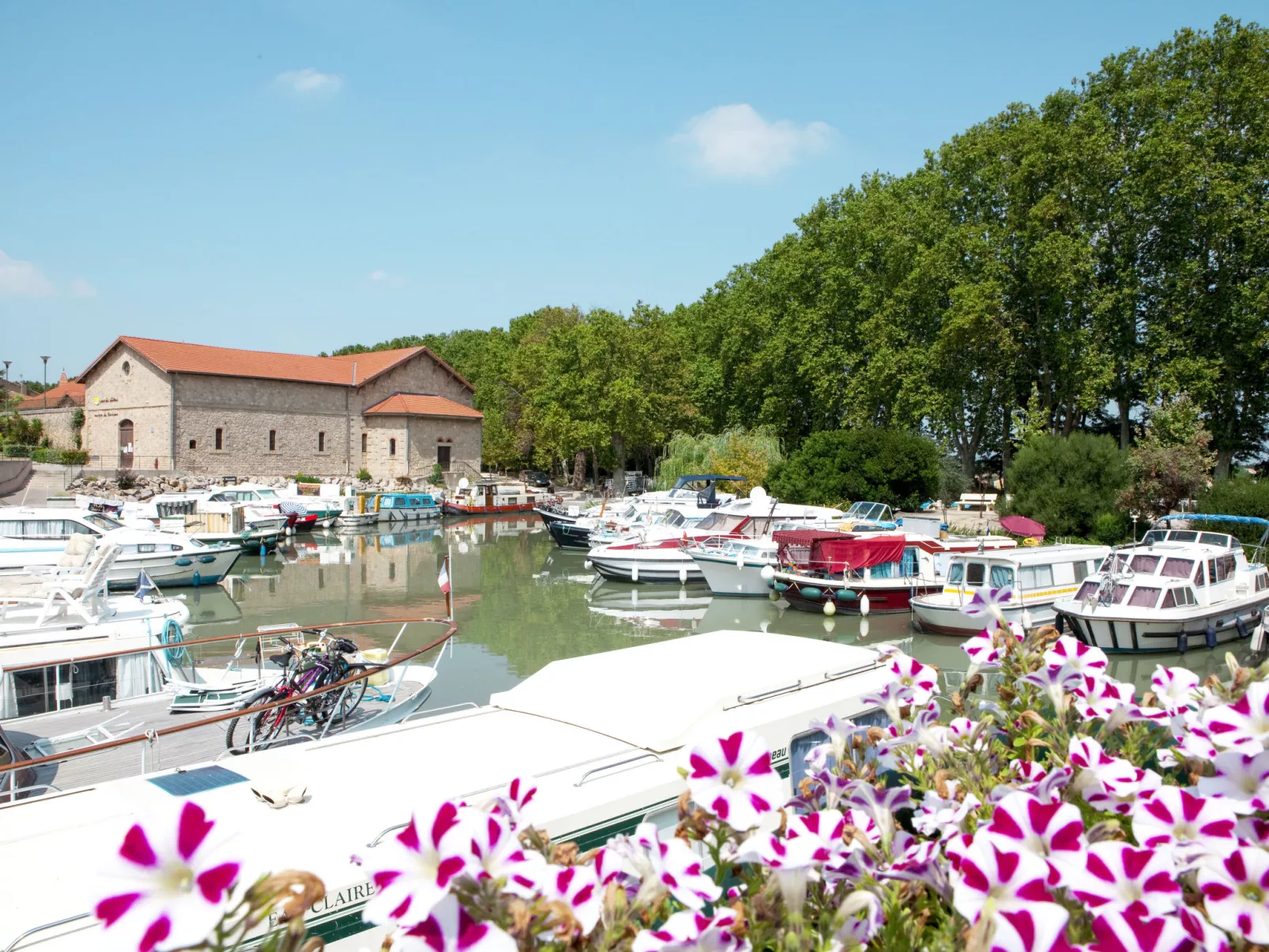 Domaine d'Ensérune - Dehors