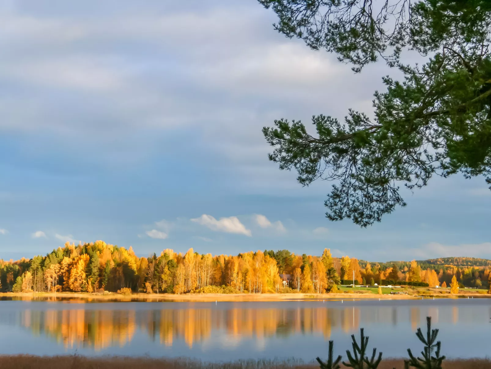 Riutankolo - Drinnen