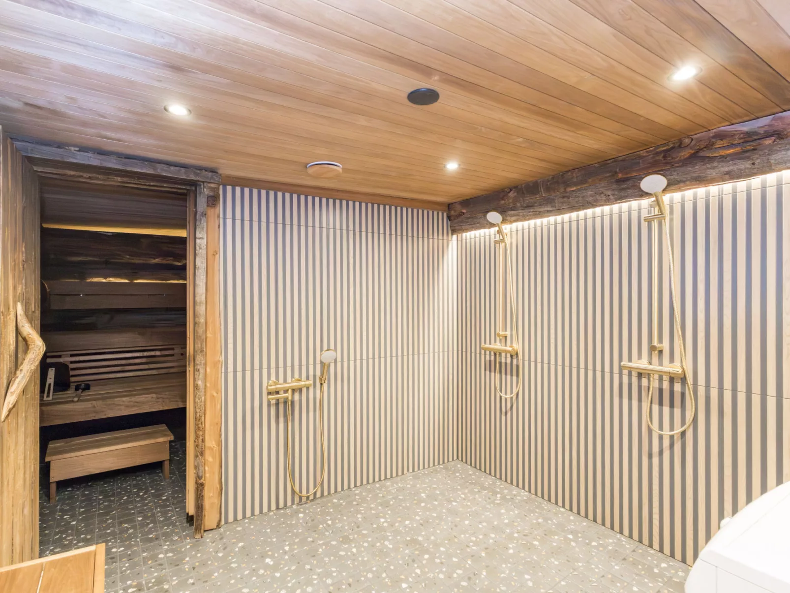 Lumikenttien kutsu - Dedans