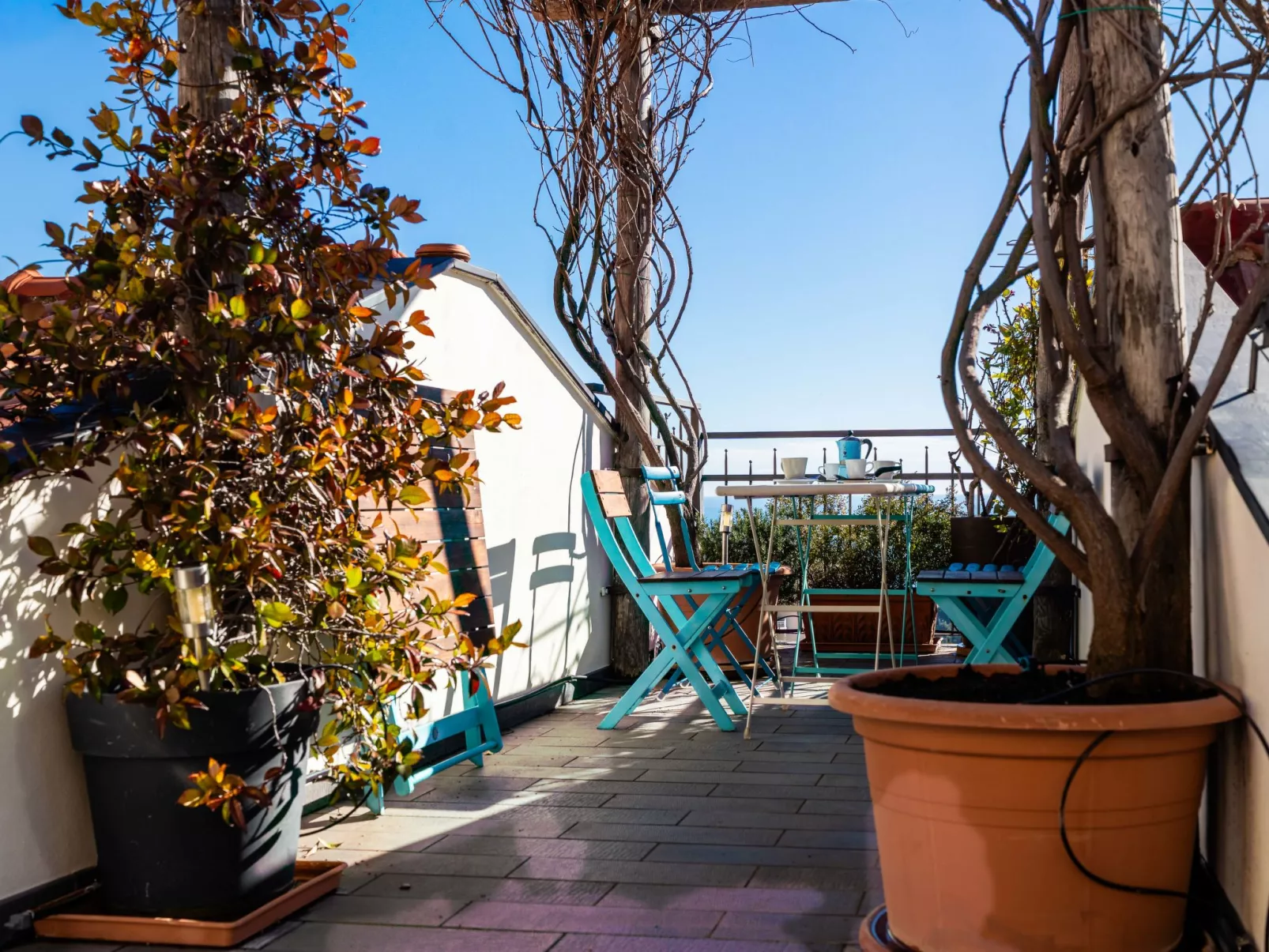 Terrazza con glicine - Dehors