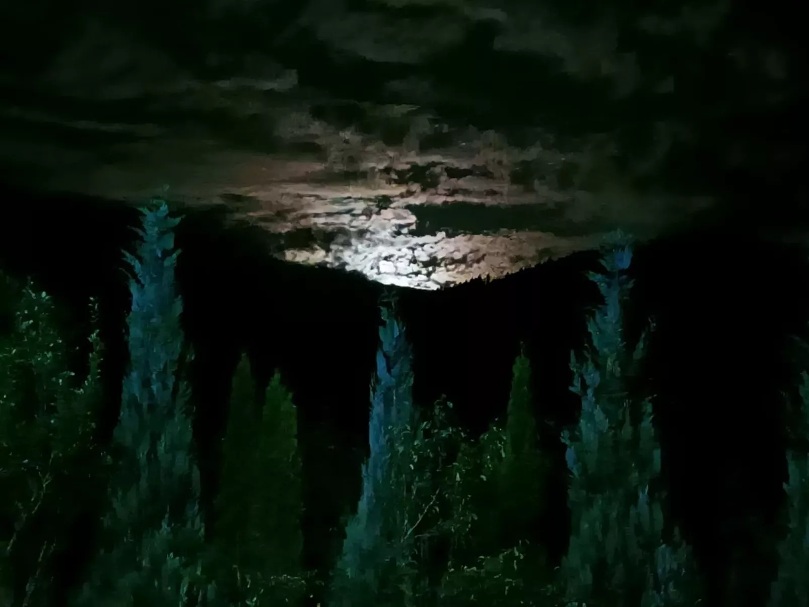 Vila Roberta Breaza Brasov - Outside