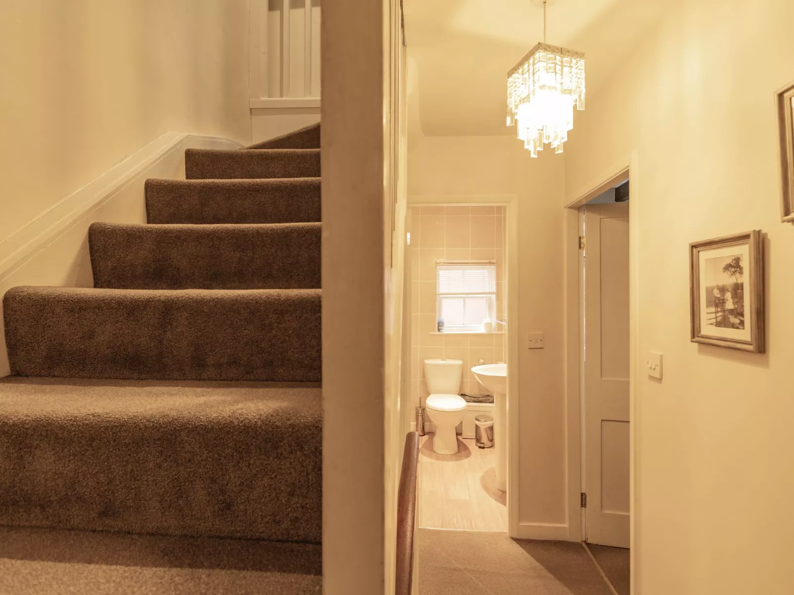 Robins Nest - Inside