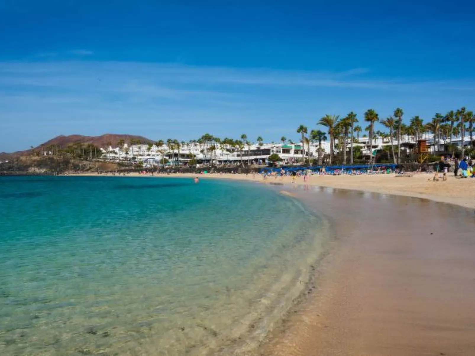 PLAYA FLAMINGO B - Image-tags.info