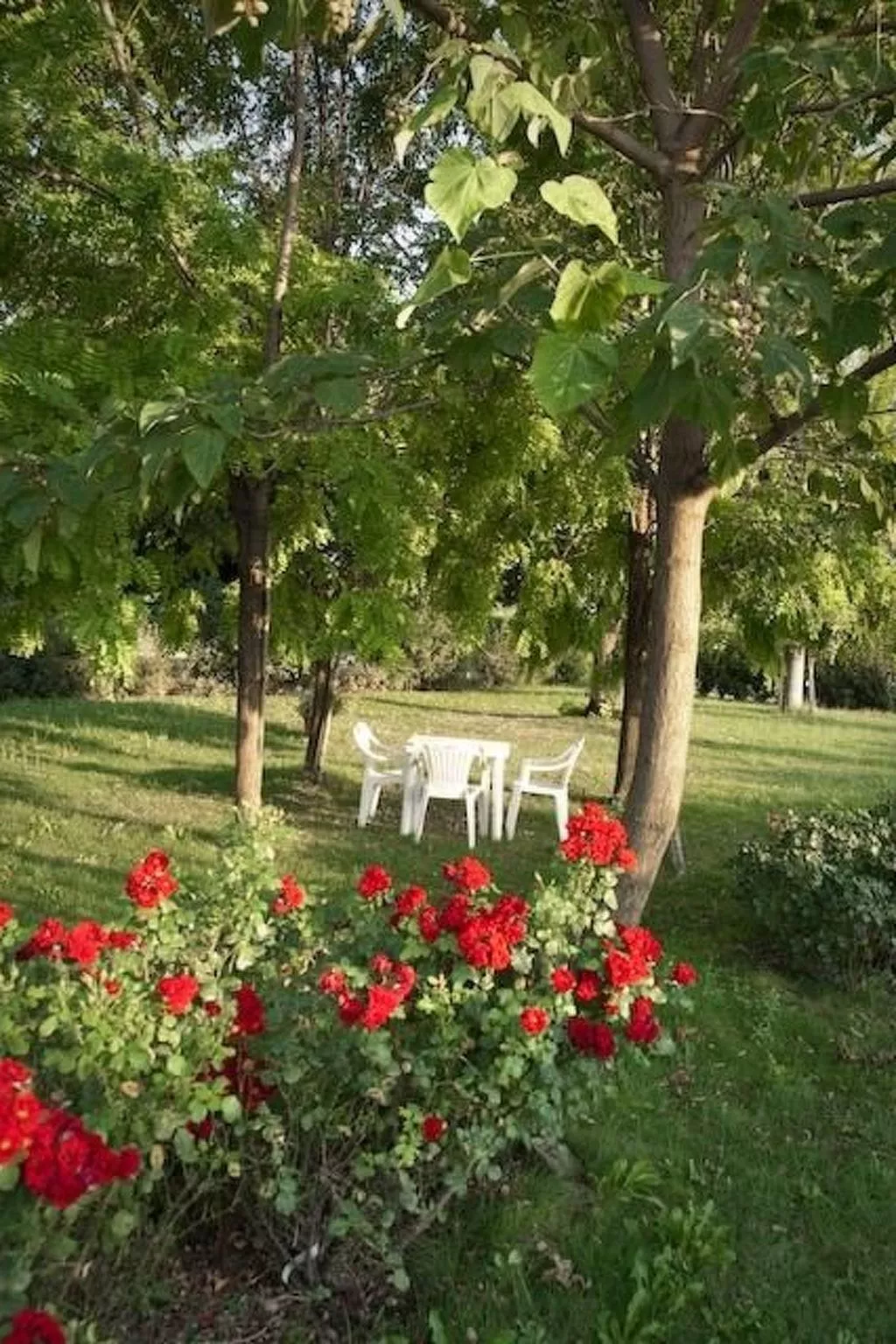 Wohnung "Veronica" auf einem Bauernhof - Draußen