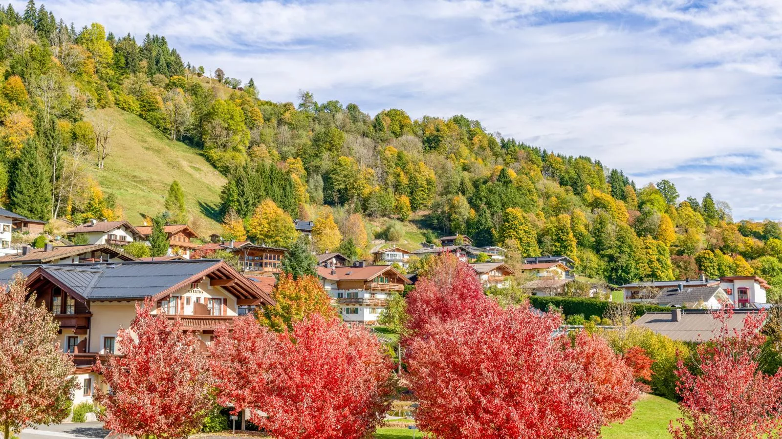 Appartementkombination Brixnerwirt I und II-Areas summer 5km