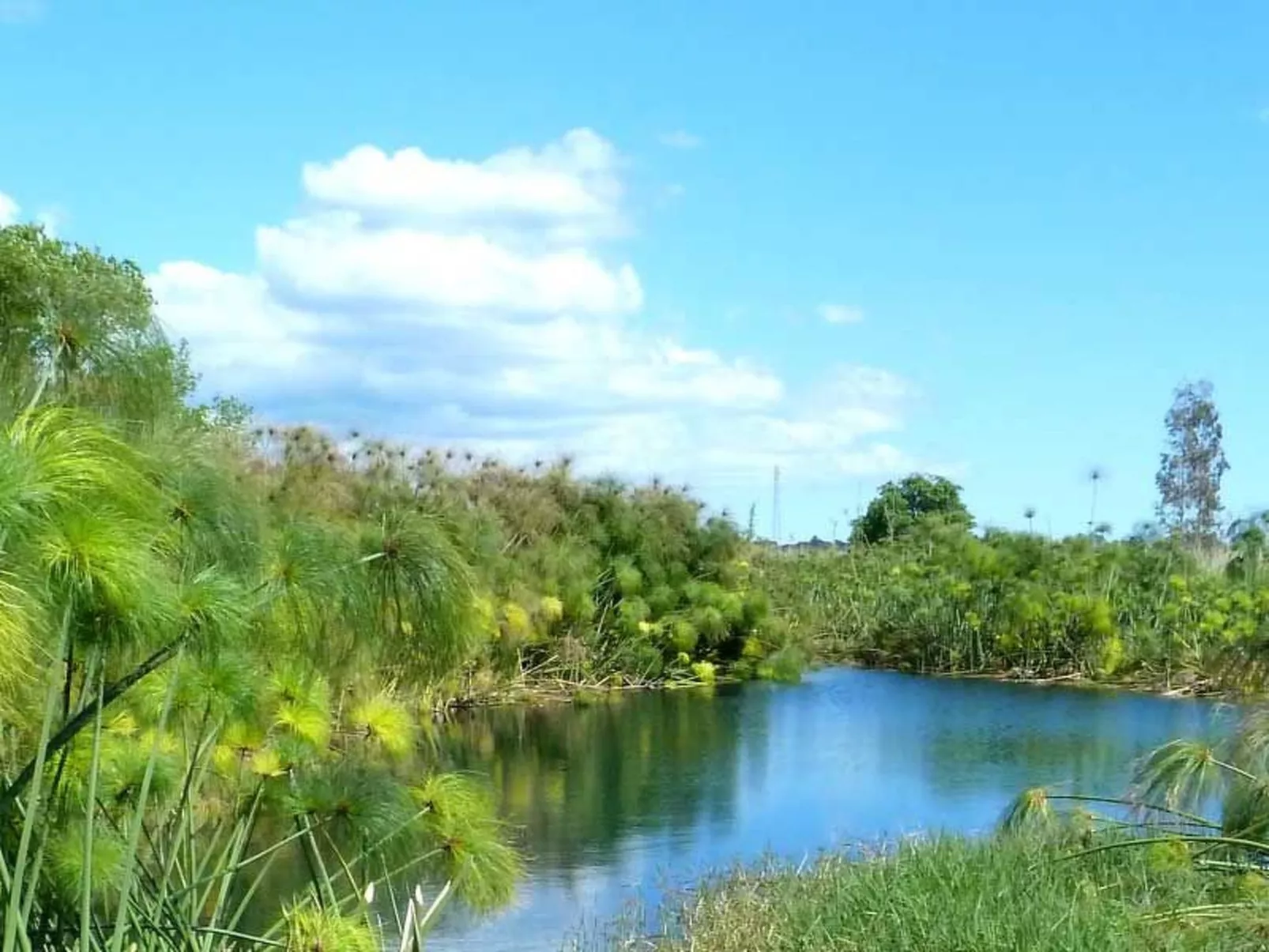 Villa dei Papiri - Exklusives Zimmer mit möbliertem Garten - Dehors