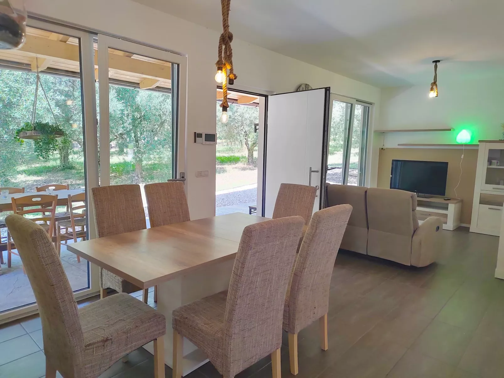 In einem spektakulären Olivenhain in einer ruhig - Image-tags.info