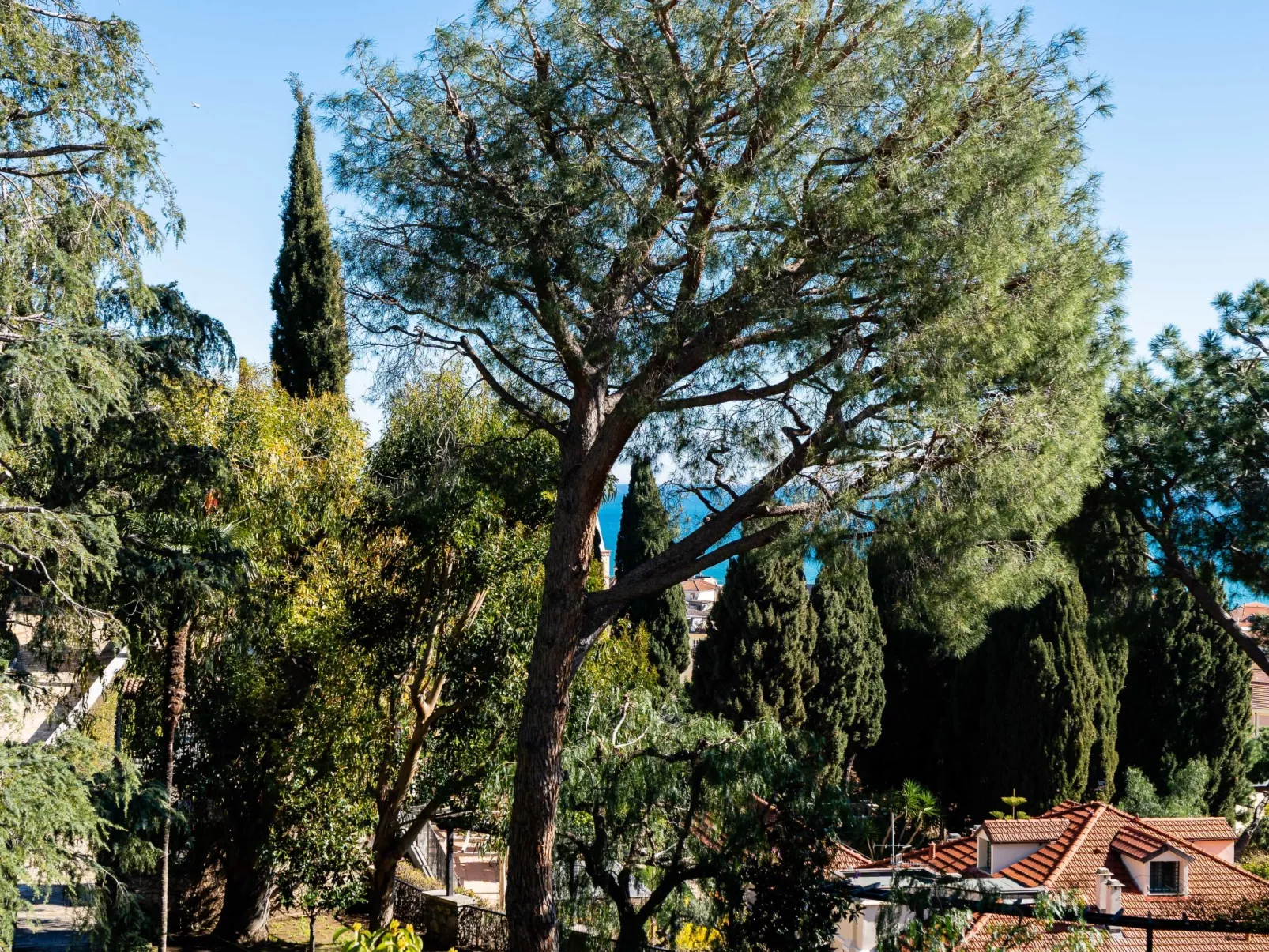 Orizzonte Blu Alassio - Outside